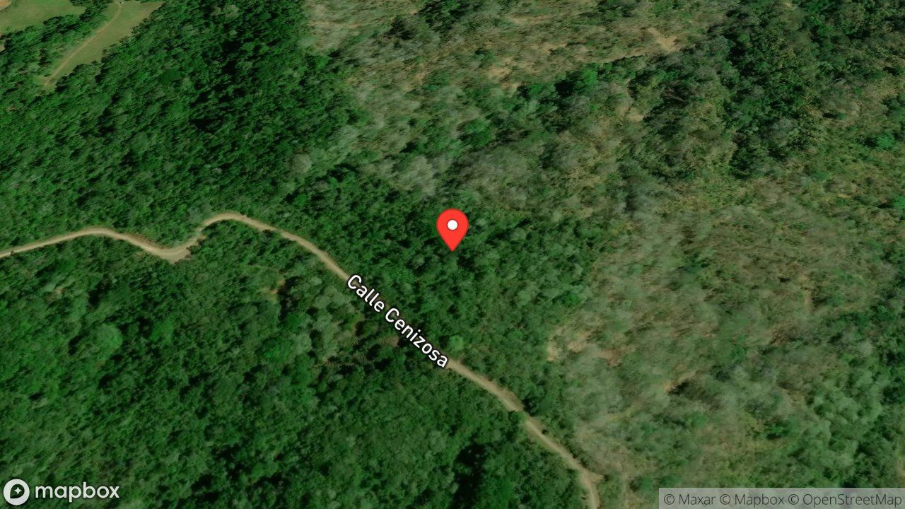 Mapa del incidente RESCATE DE MASCULINO EN UN GUINDO