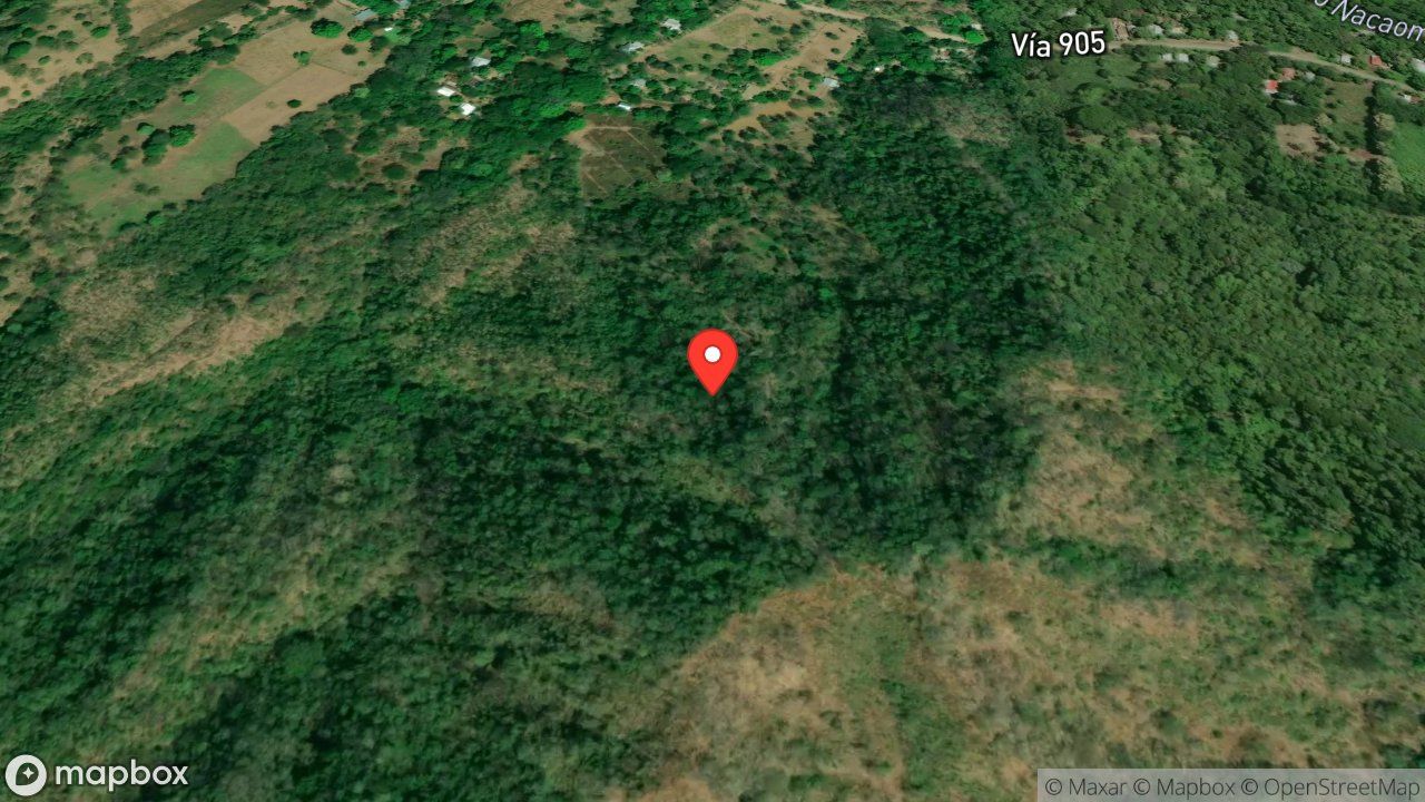 Mapa del incidente ARBOL CON FUEGO