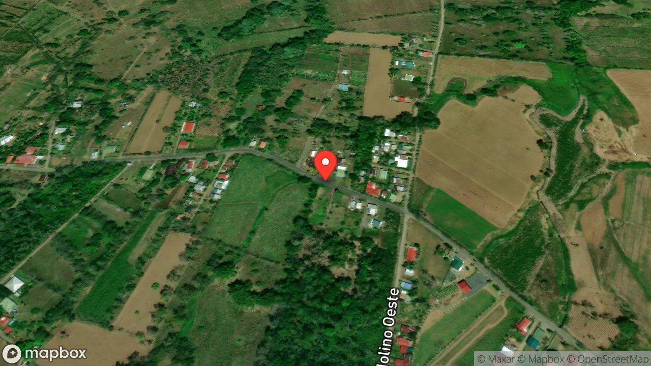 Mapa del incidente ATAQUE DE ABEJAS