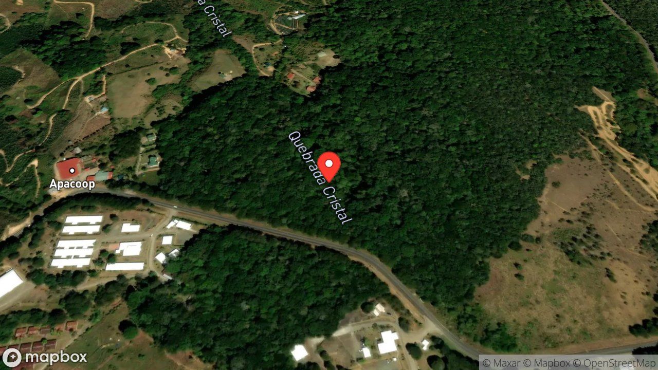 Mapa del incidente M 74 REPORTA POSIBLE FORESTAL