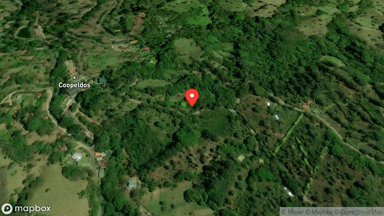 Mapa del incidente ENJAMBRE DE ABEJAS