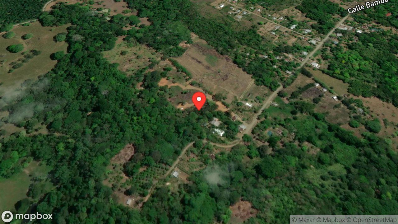 Mapa del incidente ESTACION DE PUERTO JIMENEZ REPORTA ENJAMBRE DE ABEJAS