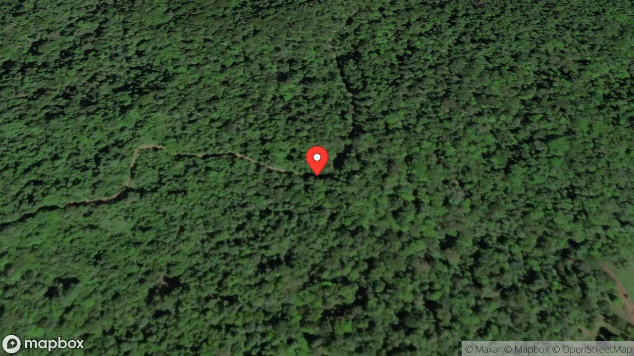 Mapa del incidente RESCATE DE MASCULINO EN UN GUINDO