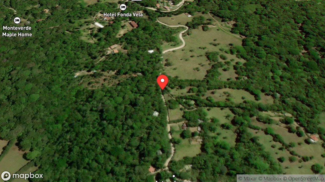 Mapa del incidente ESTACION DE MONTEVERDE REPORTA RESCATE ANIMAL