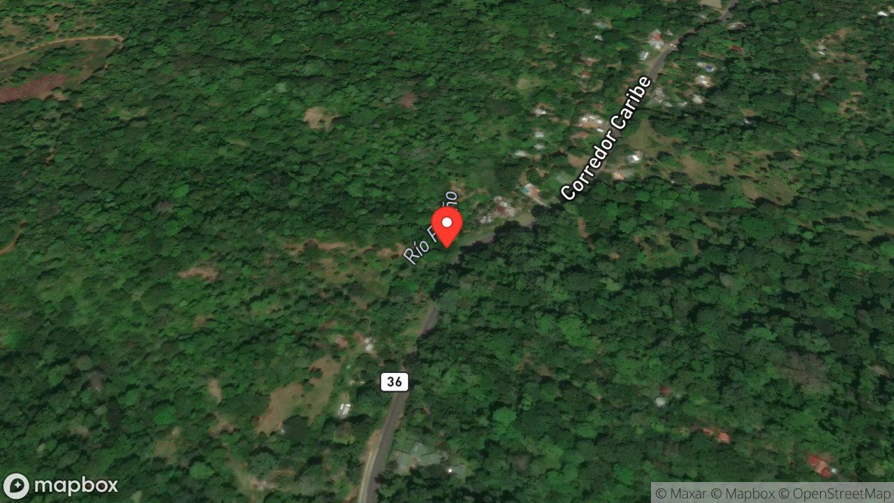 Mapa del incidente RESCATE DE OSO PEREZOSO EN TENDIDO ELECTRICO