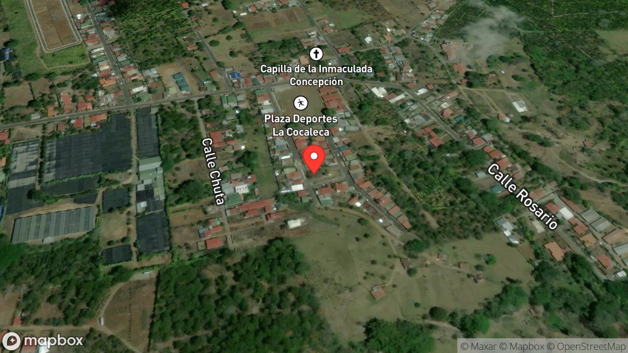 Mapa del incidente ESTACION DE PALMARES REPORTA PROBLEMAS CON SERPIENTE