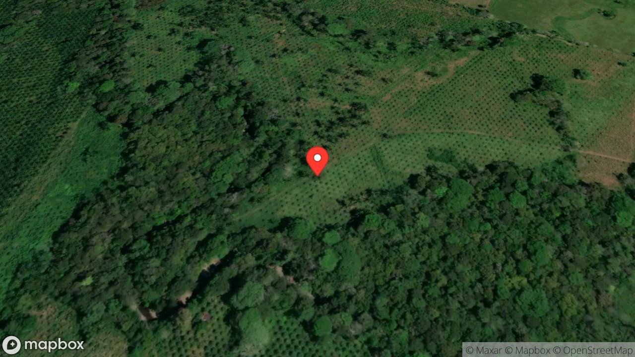 Mapa del incidente ESTACION DE PUERTO JIMENEZ REPORTA QUEMA AGRICOLA