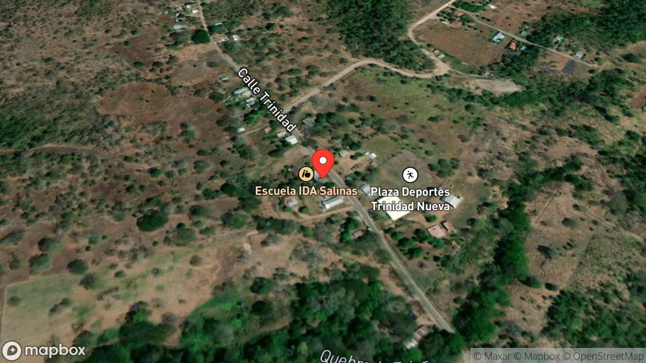 Mapa del incidente ENJAMBRE DE ABEJAS