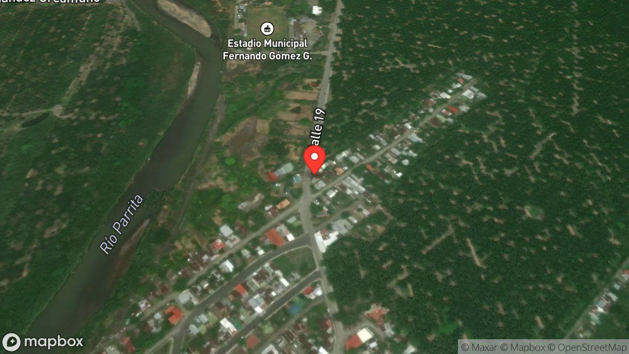 Mapa del incidente ESTACION DE PARRITA REPORTA RESCATE DE MAPACHE DENTRO DE VIVIENDA