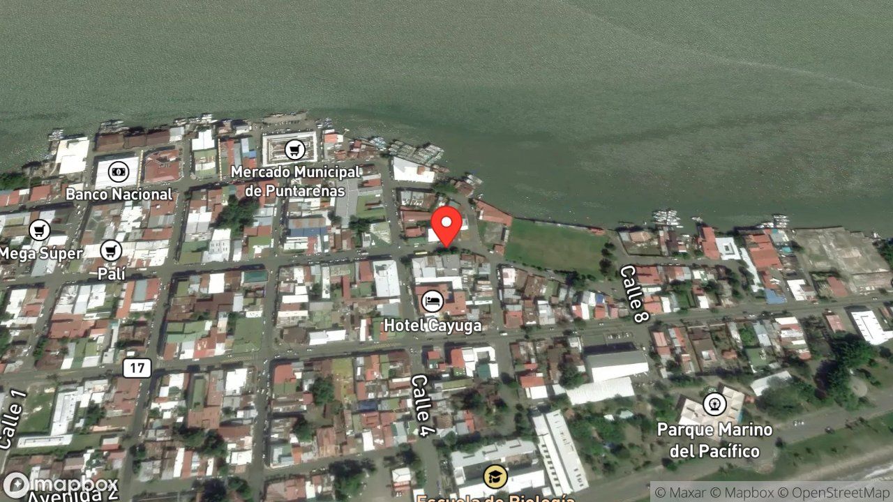 Mapa del incidente ESTACION DE PUNTARENAS REPORTA ABEJAS