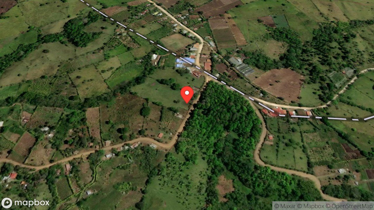 Mapa del incidente V-199 VIA TELEFONICA REPORTA ATAQUE DE ABEJAS