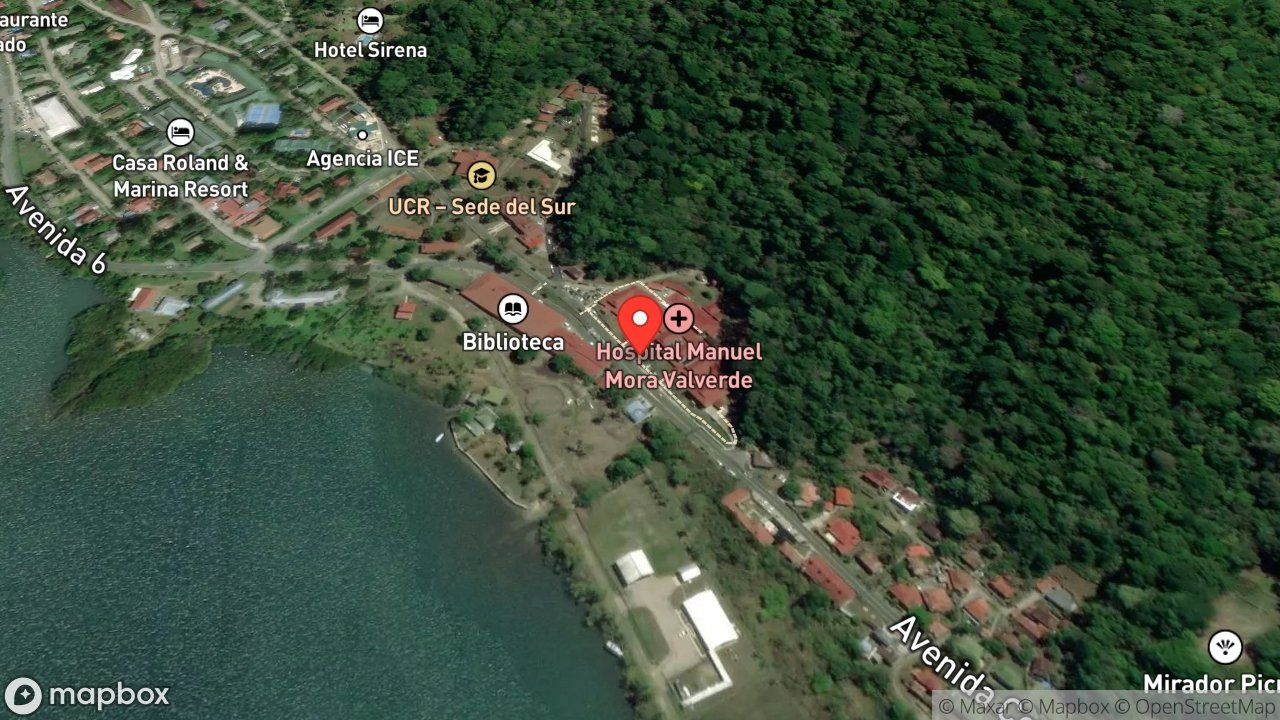 Mapa del incidente ESTACION DE GOLFITO REPORTA ENJAMBRE DE ABEJAS