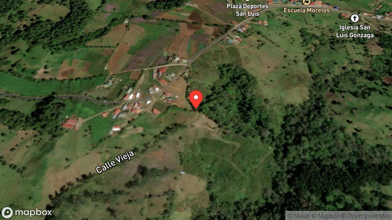 Mapa del incidente ESTACION DE ZARCERO REPORTA SERPIENTE