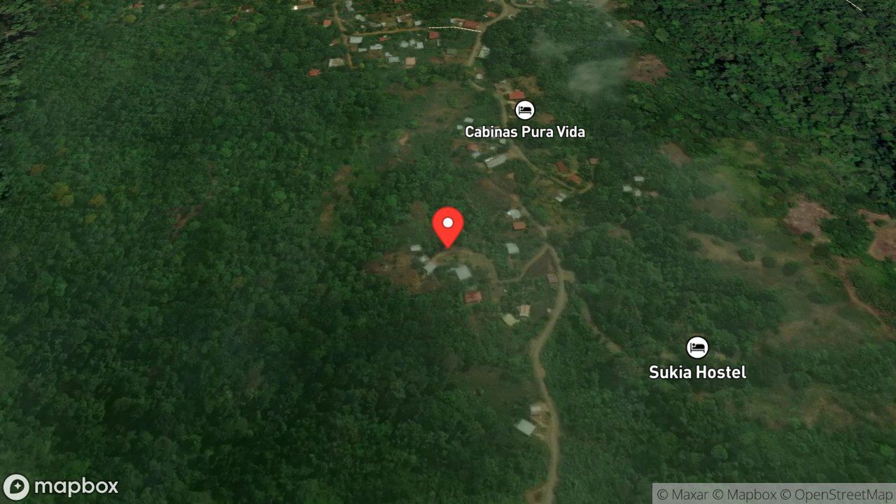 Mapa del incidente ESTACION DE PUERTO JIMENEZ REPORTA ABEJAS