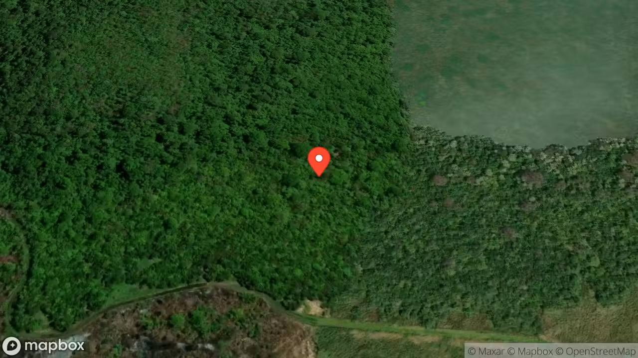 Mapa del incidente ESTACION DE BAGACES REPORTA REVISION EN INCENDIO FORESTAL