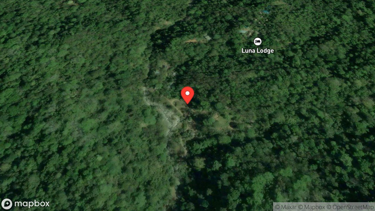 Mapa del incidente ESTACION DE PUERTO JIMENEZ REPORTA RESCATE DE ANIMAL