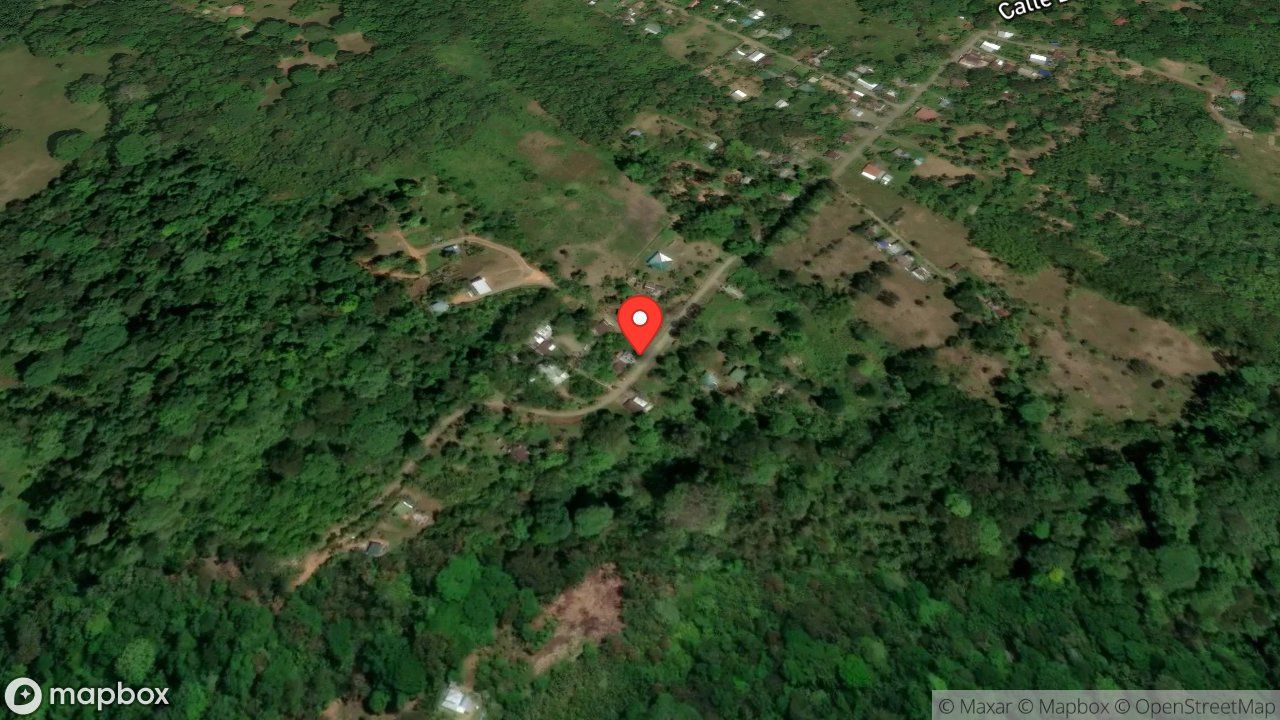 Mapa del incidente ESTACION DE PUERTO JIMENEZ REPORTA AMENAZA DE SERPIENTE