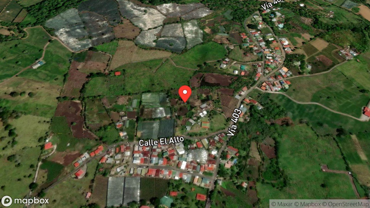 Mapa del incidente ATAQUE DE ABEJAS
