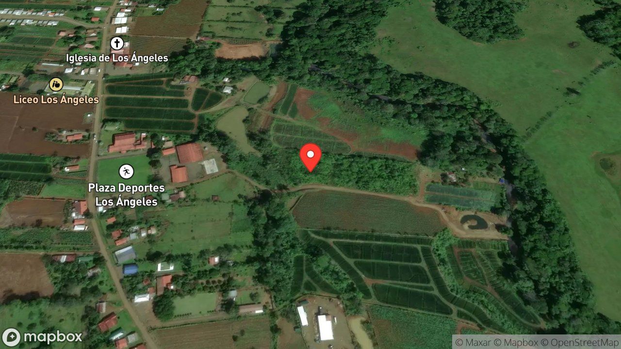 Mapa del incidente ESTACION DE PITAL REPORTA ABEJAS