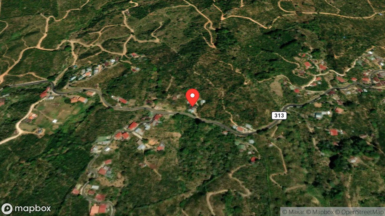 Mapa del incidente VEHICULO APUNTO DE CAER A UN GUINDO