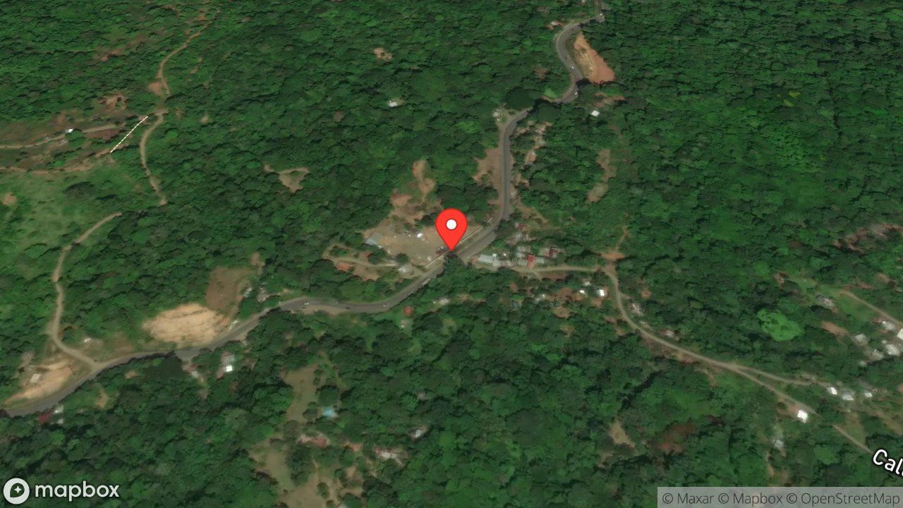Mapa del incidente RESCATE DE PEREZOSO EN TENDIDO ELECTRICO