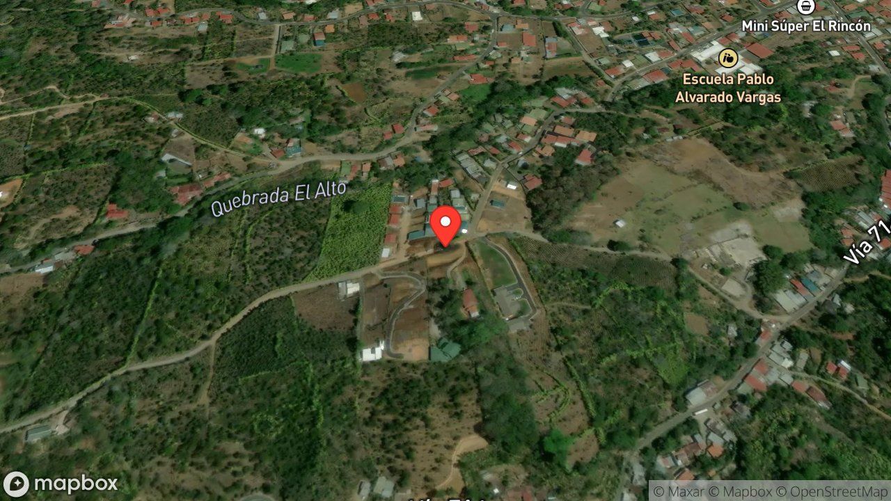 Mapa del incidente ESTACION DE PALMARES REPORTA RESCATE ANIMAL