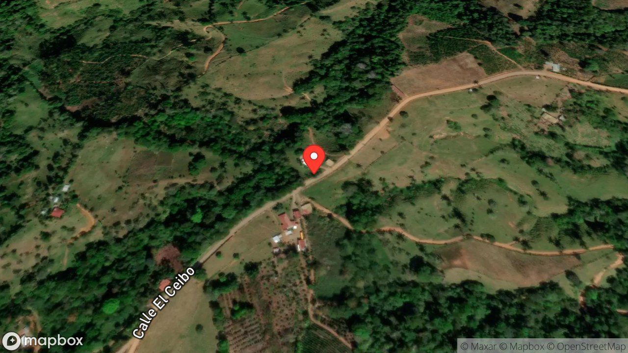 Mapa del incidente ENJAMBRE DE ABEJAS