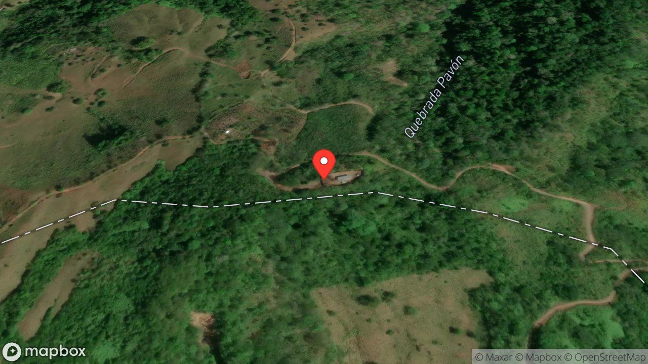 Mapa del incidente SERPIENTE EN ESTRUCTURA