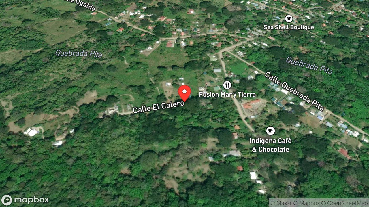 Mapa del incidente ESTACION DE PAQUERA REPORTA ENJAMBRE DE ABEJAS