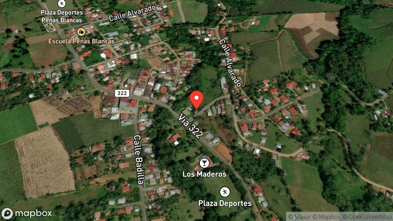 Mapa del incidente ESTACION DE PEREZ ZELEDON REPORTA PROBLEMAS CON ABEJAS
